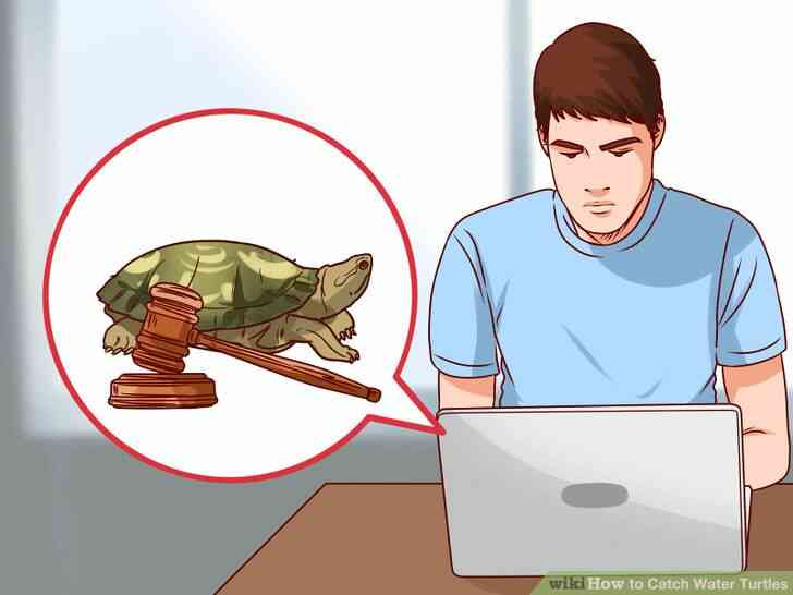 Image intitulée Attraper des Tortues d